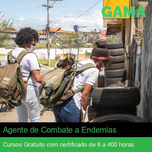 Agente de Combate a Endemias